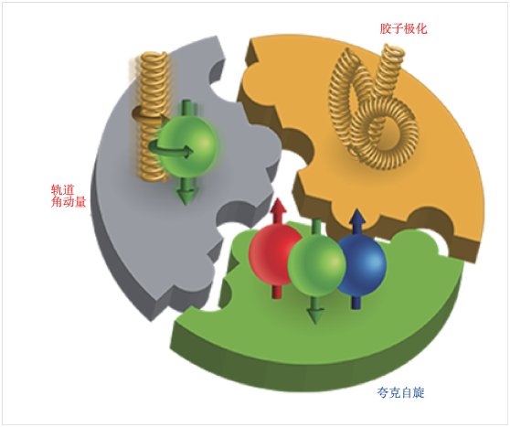 电子离子对撞机——研究核子结构的超级显微镜