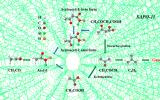 中国科学院大连化学物理研究所揭示分子筛催化乙烯酮转化制汽油反应机制